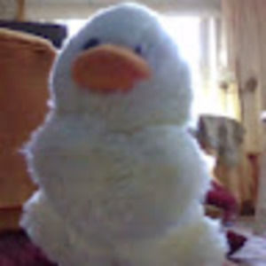 Meet your Posher, George